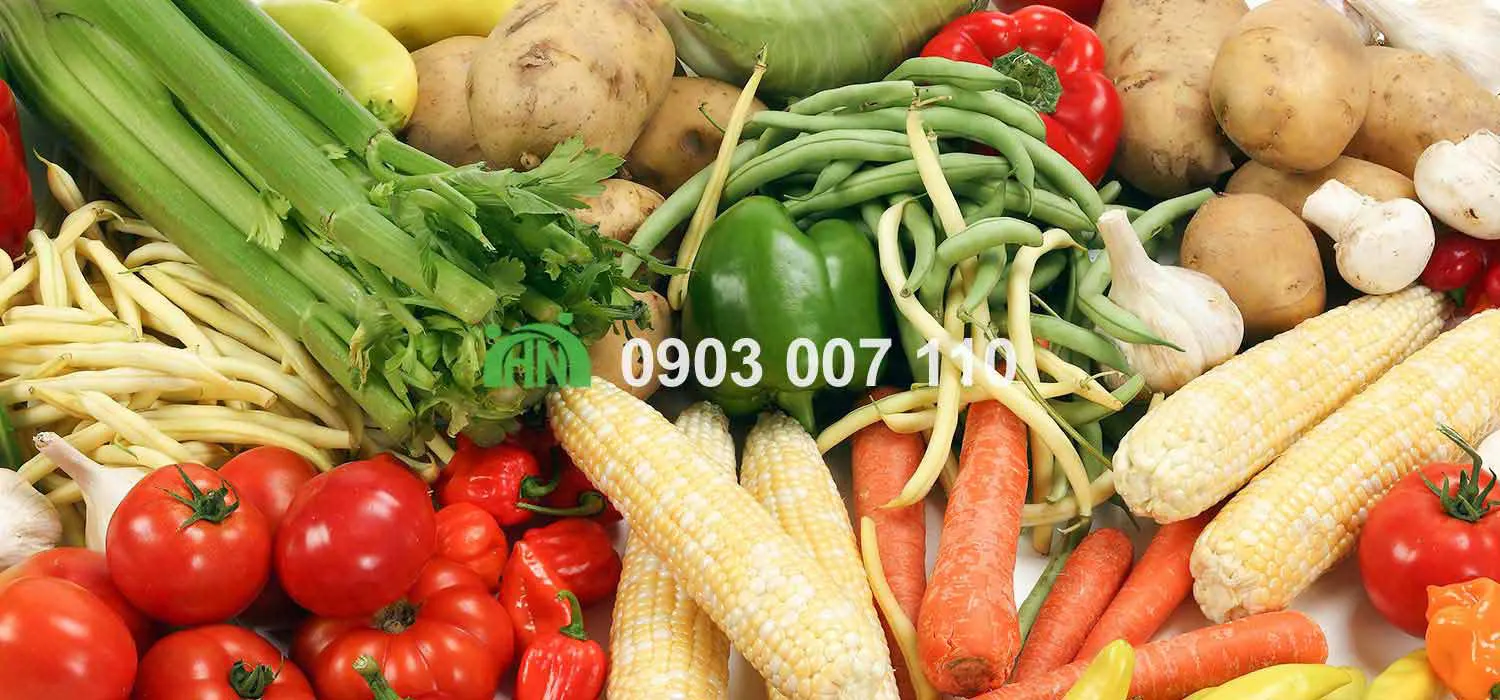 cách làm bánh xếp hàn quốc