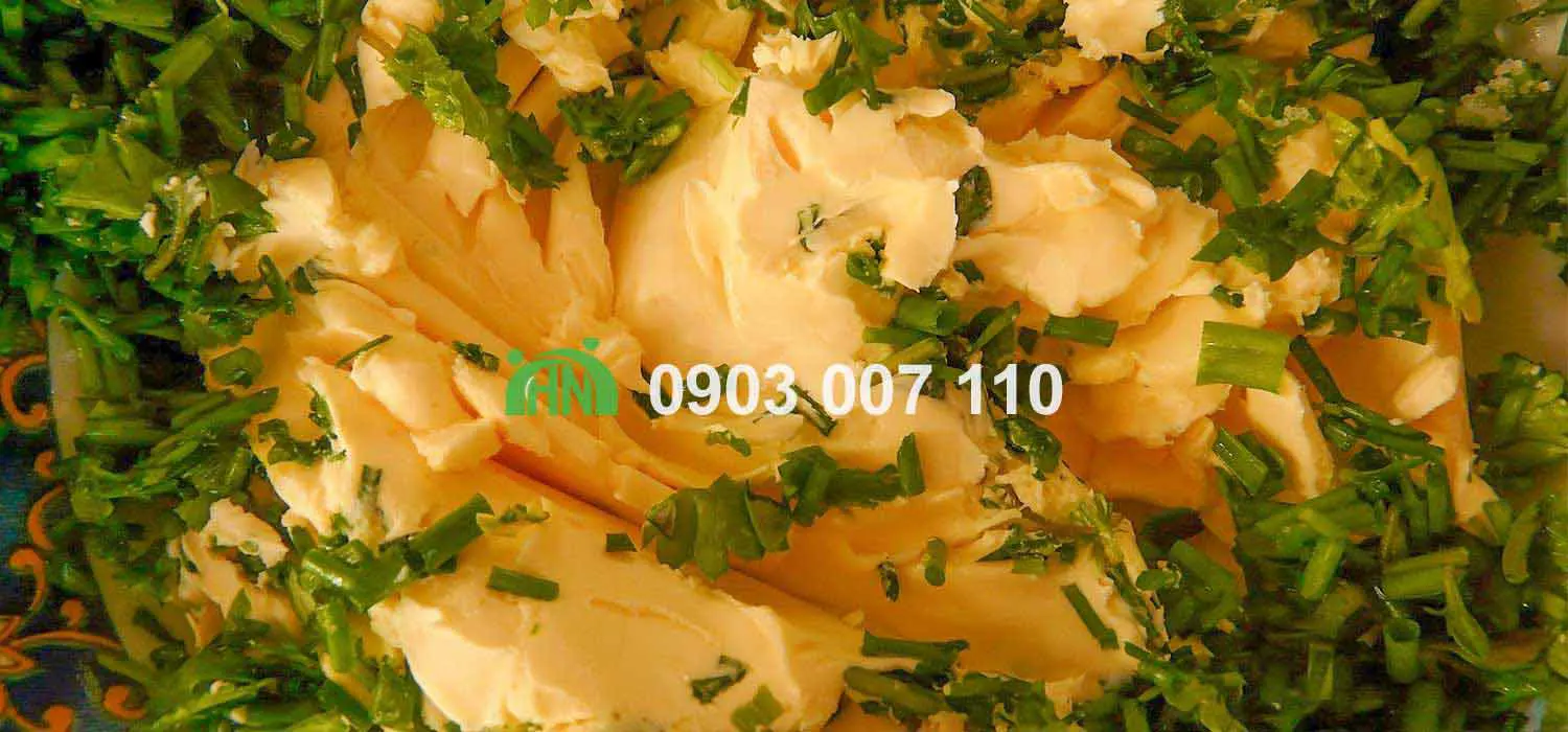 bơ thực vật