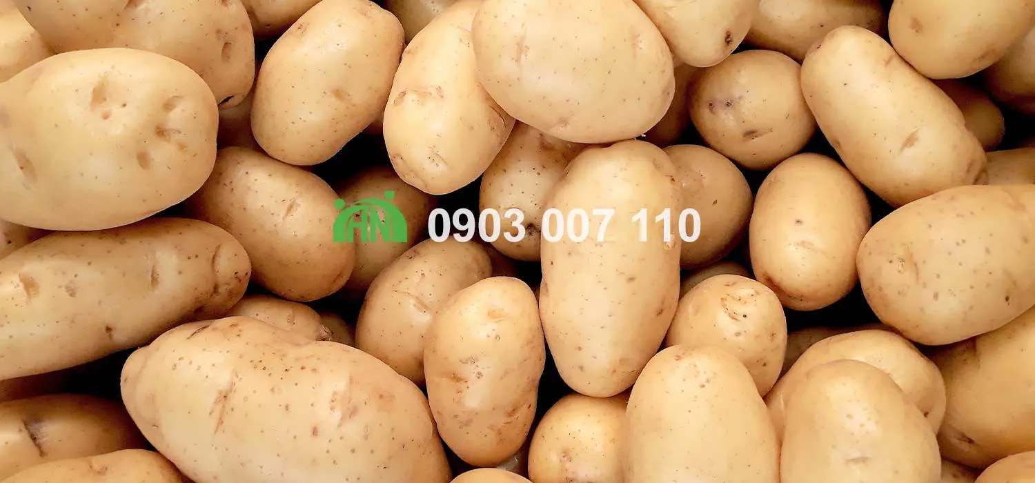 sản xuất snack khoai tây