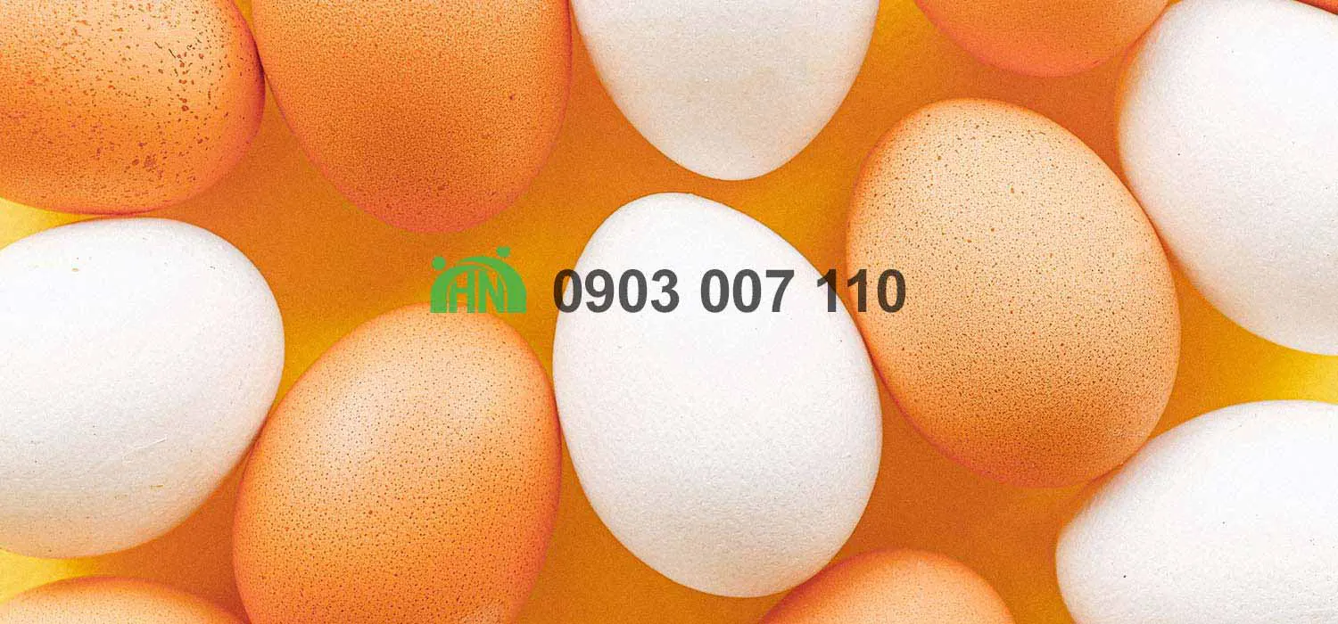 sản xuất sốt Mayonnaise