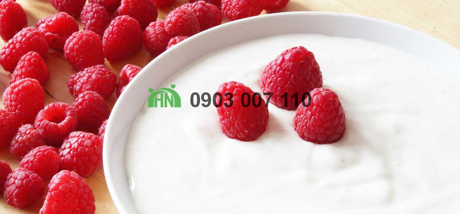 sản xuất sữa chua