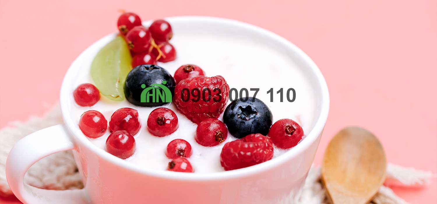 sản xuất sữa chua