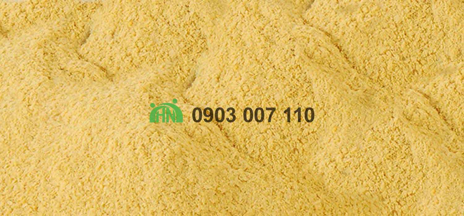 chiết xuất nấm mem