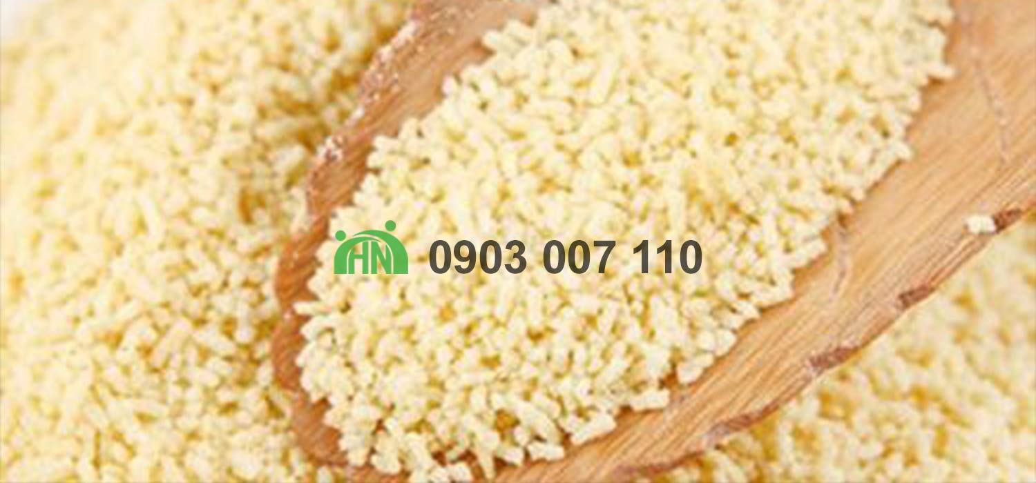 ứng dụng chiết xuất nấm mem