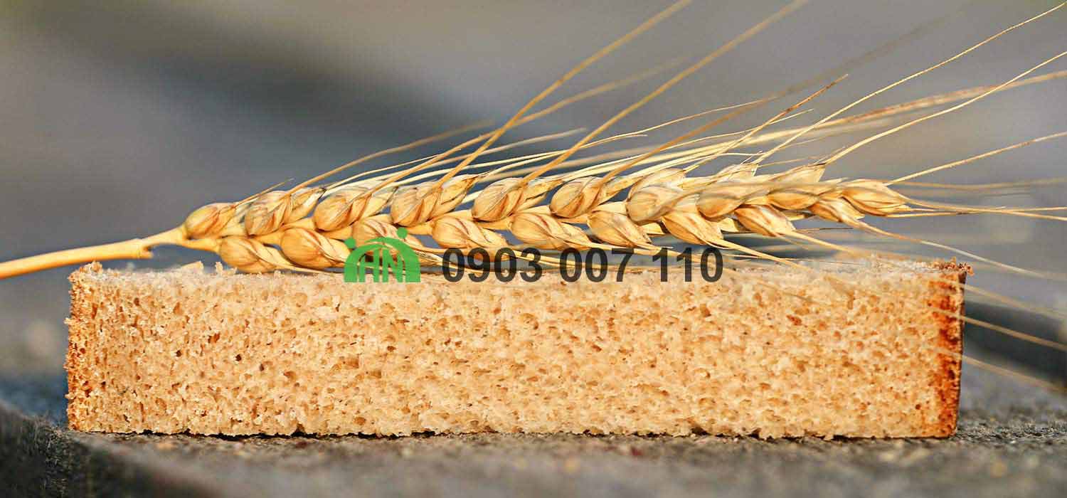 công dụng gluten lúa mì