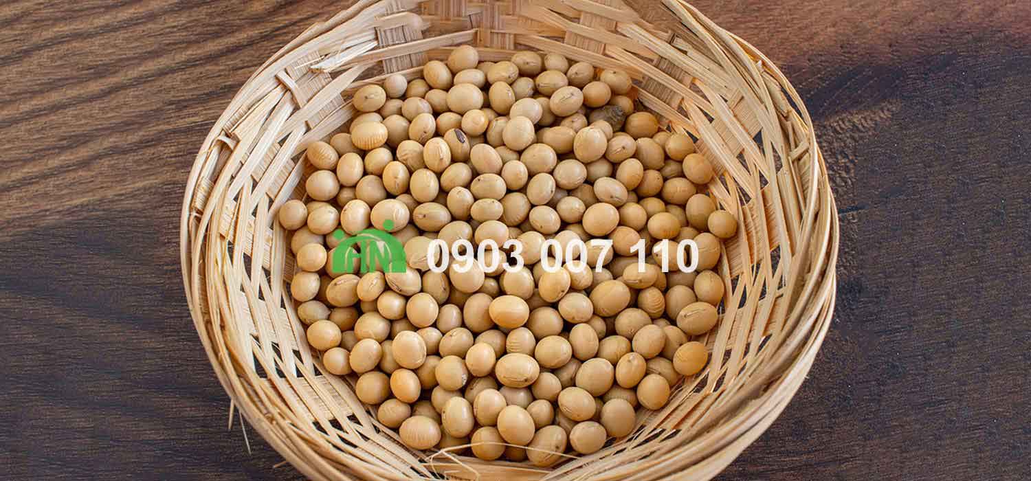 công dụng đạm đậu nành đối với sức khỏe