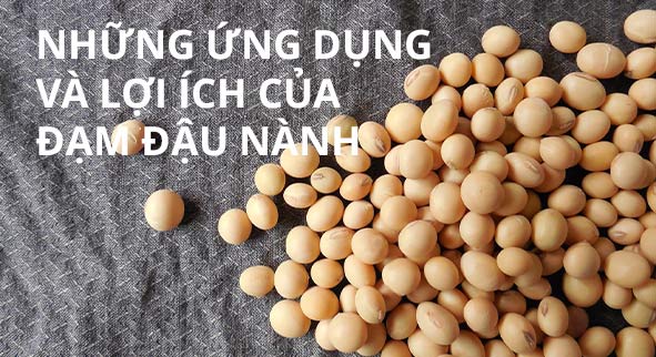 đạm đậu nành