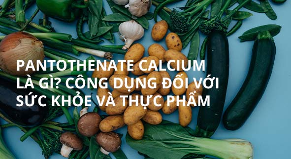 pantothenate calcium là gì