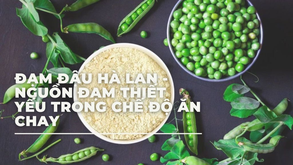 thumbnail đạm đậu hà lan