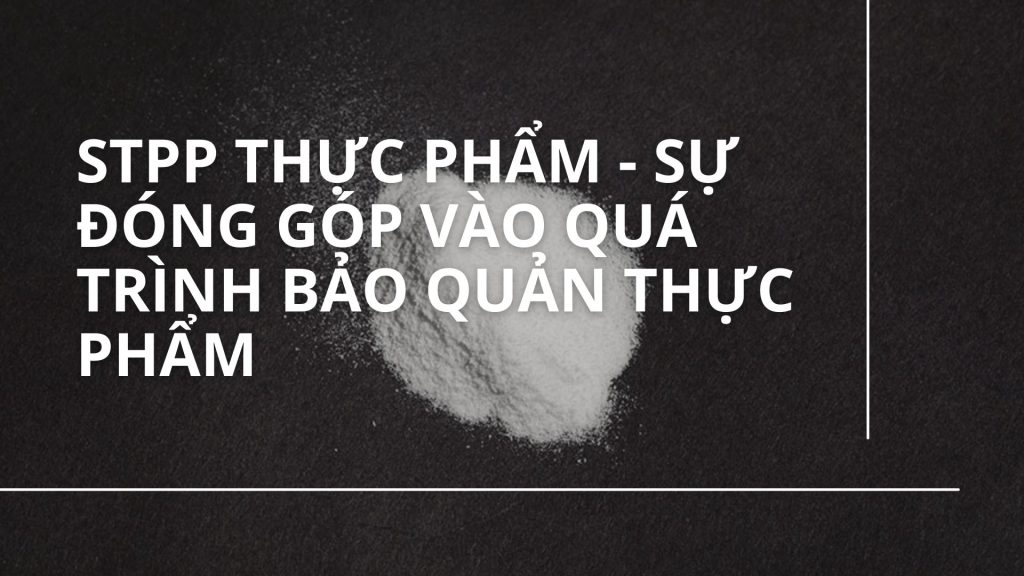 thumbnail stpp thực phẩm