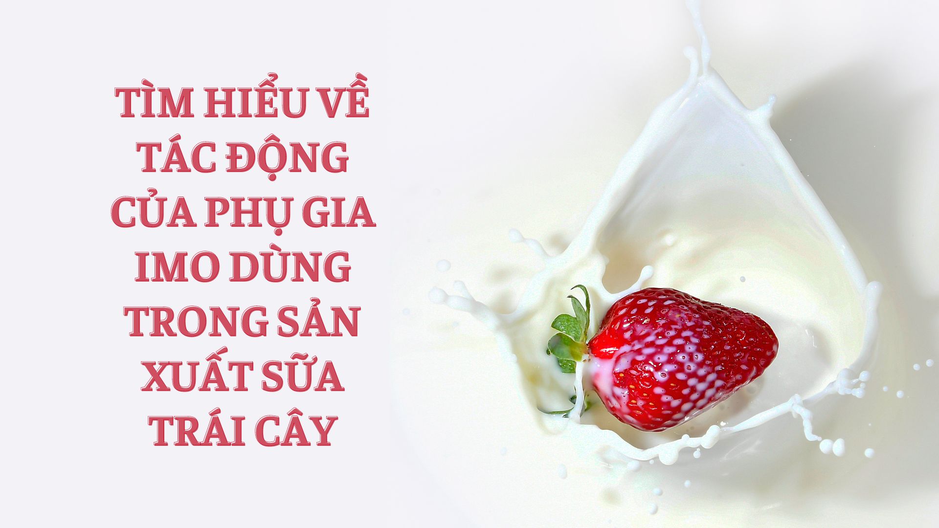 IMO-dung-trong-san-xuat-sua-trai-cay