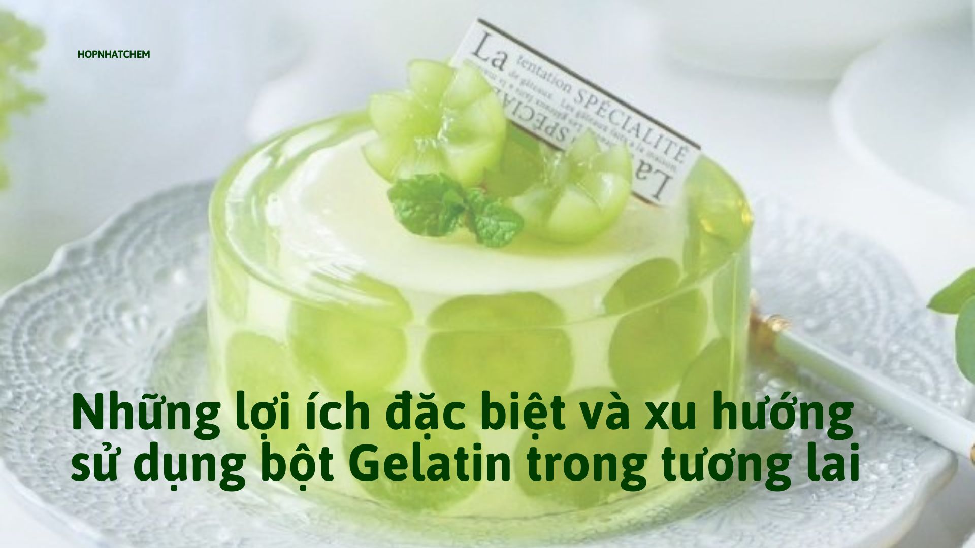 bột Gelatin
