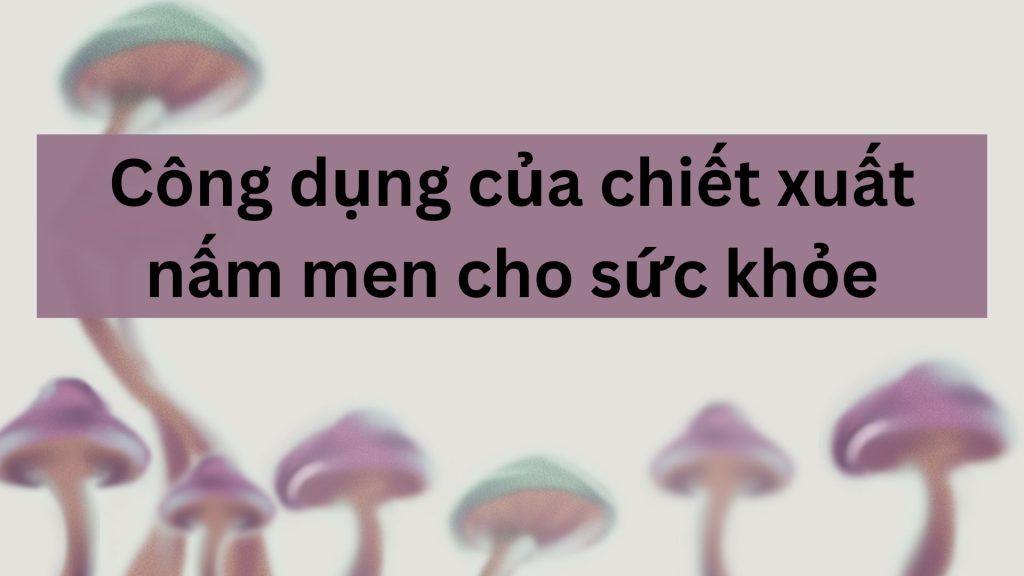chiet-xuat-nam-men