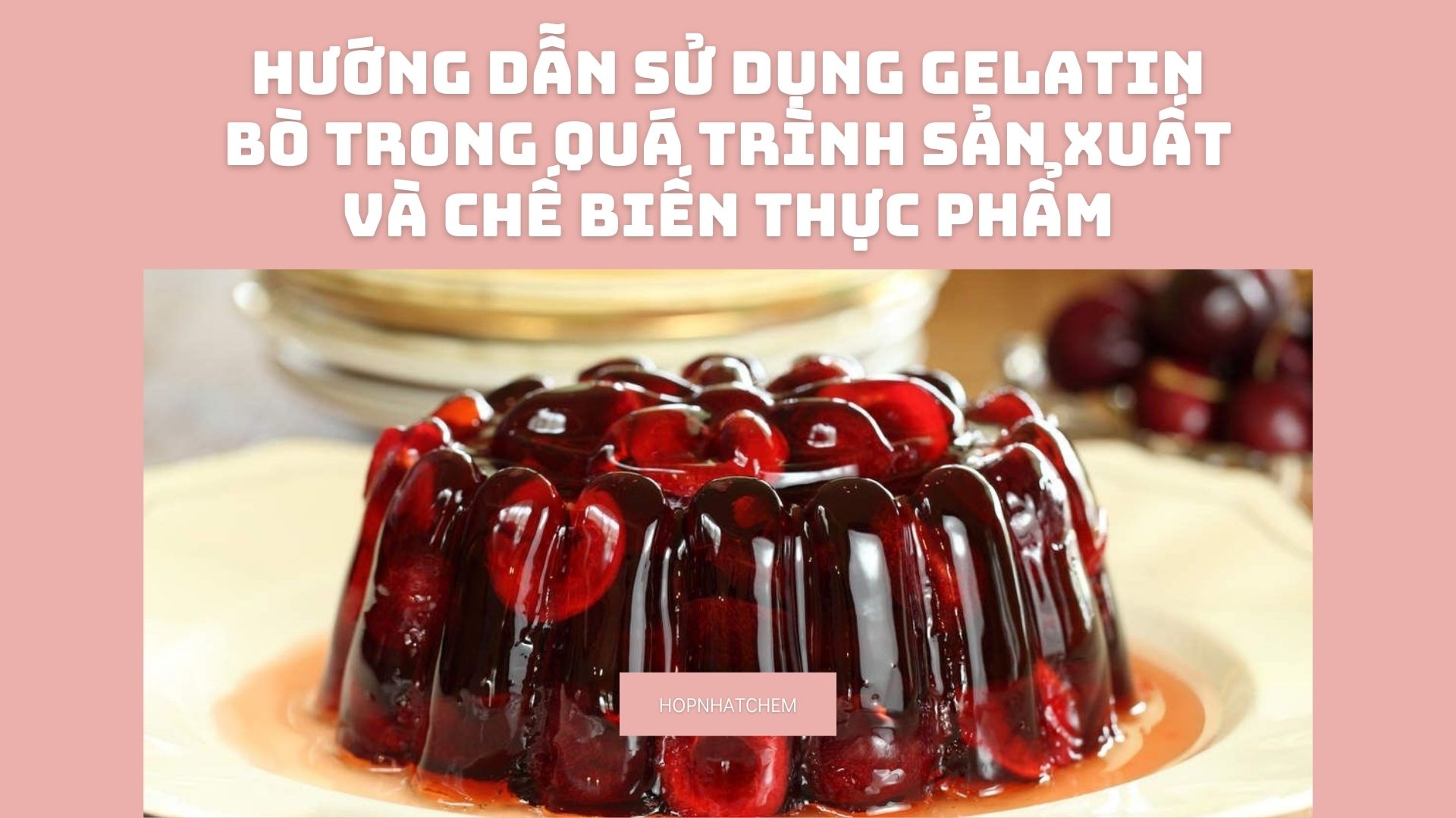 Gelatin bò