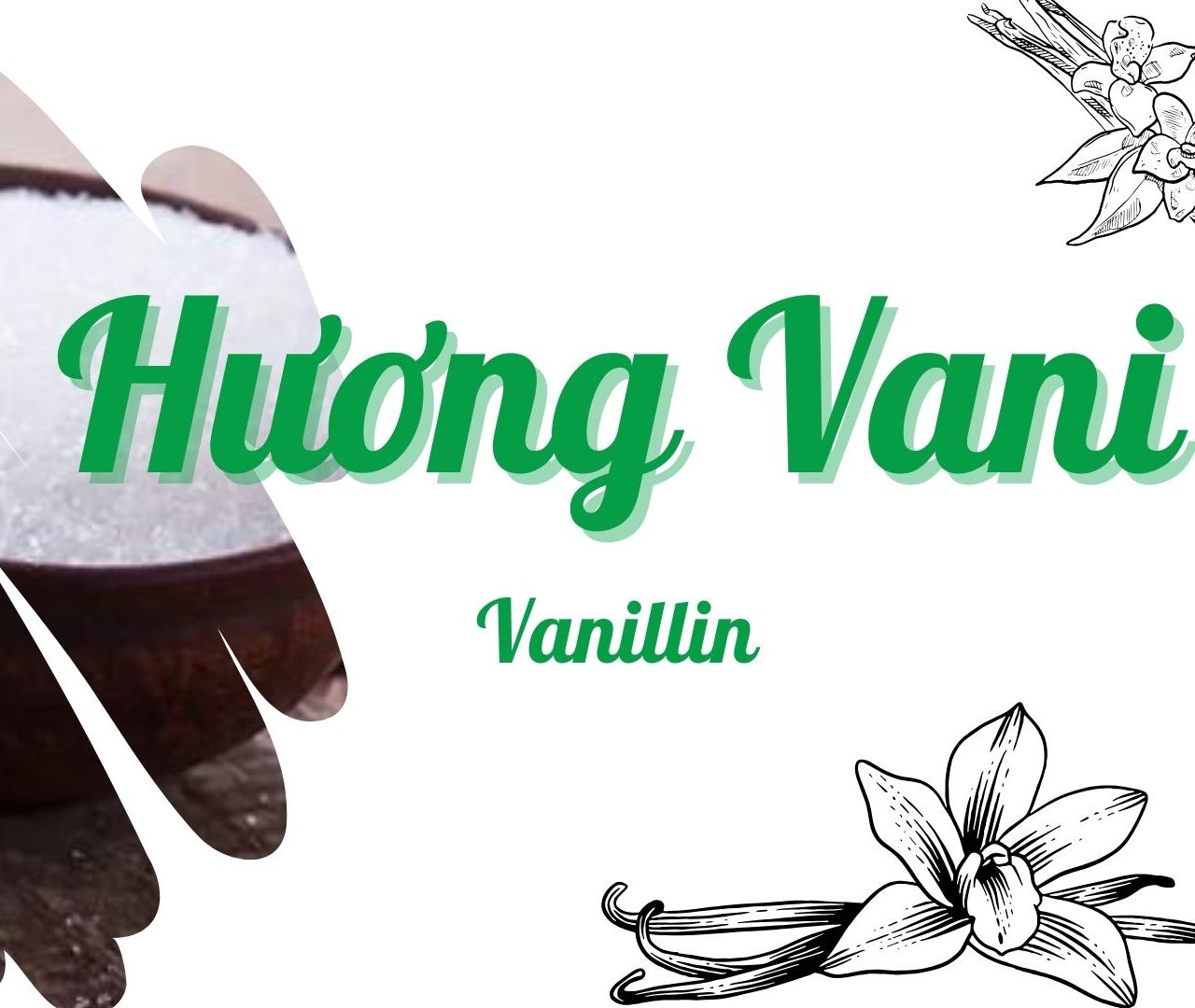 Hương Vani