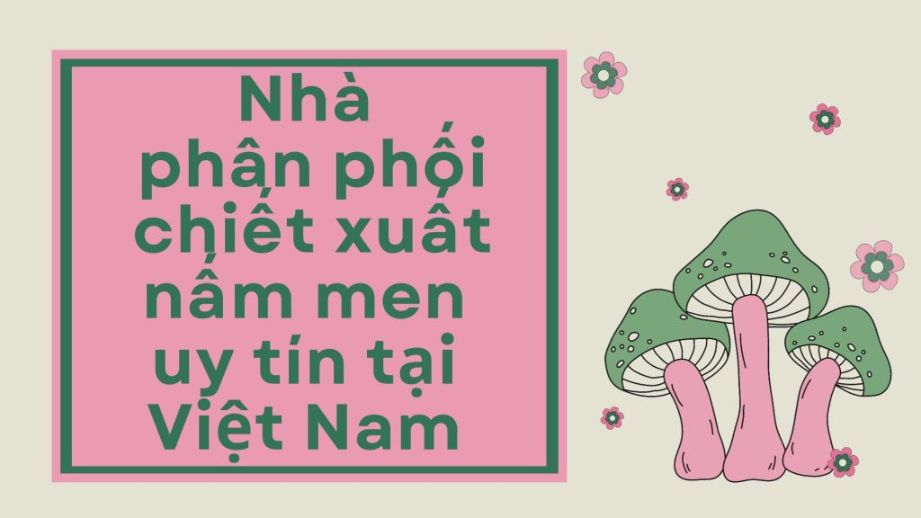 nha-phan-phoi-chiet-xuat-nam-men