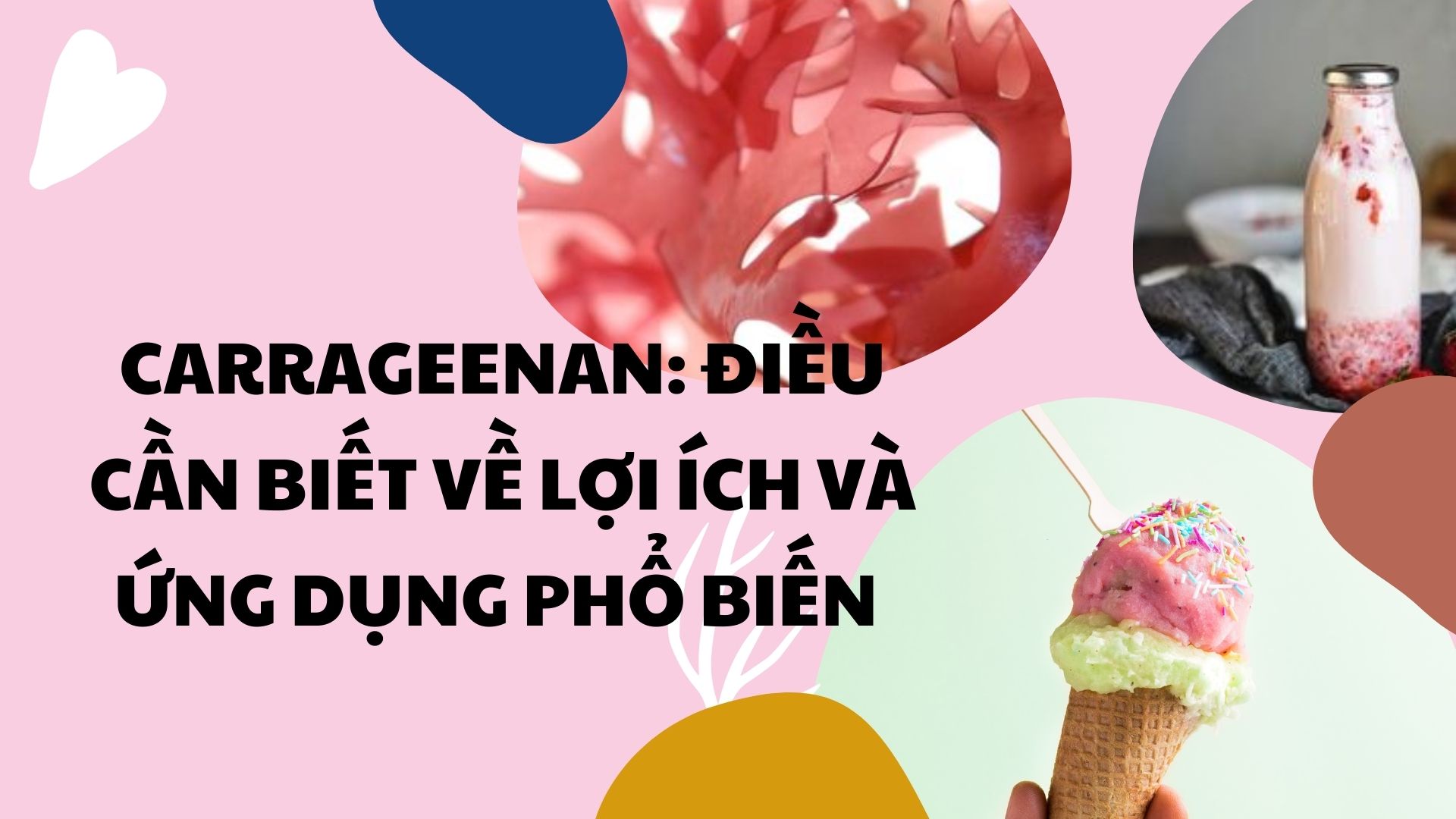 Carrageenan (E407)
