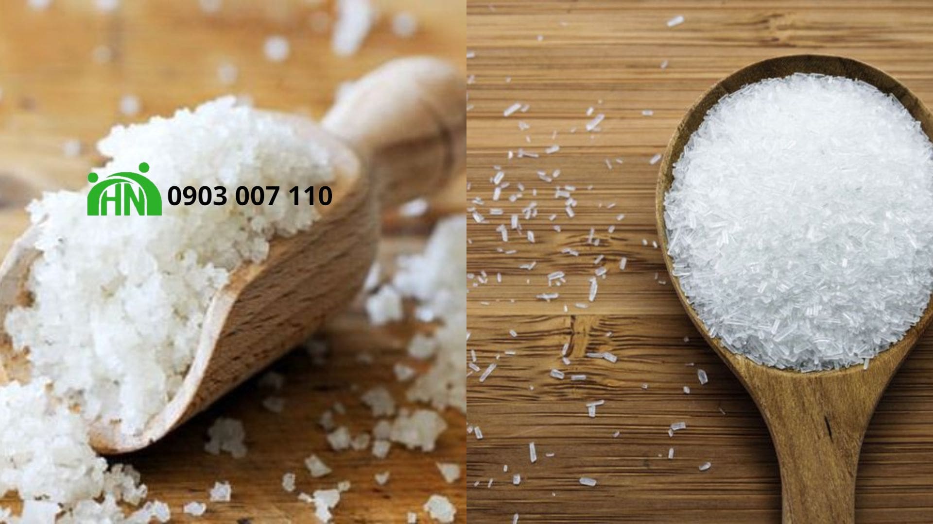 Monosodium Glutamate