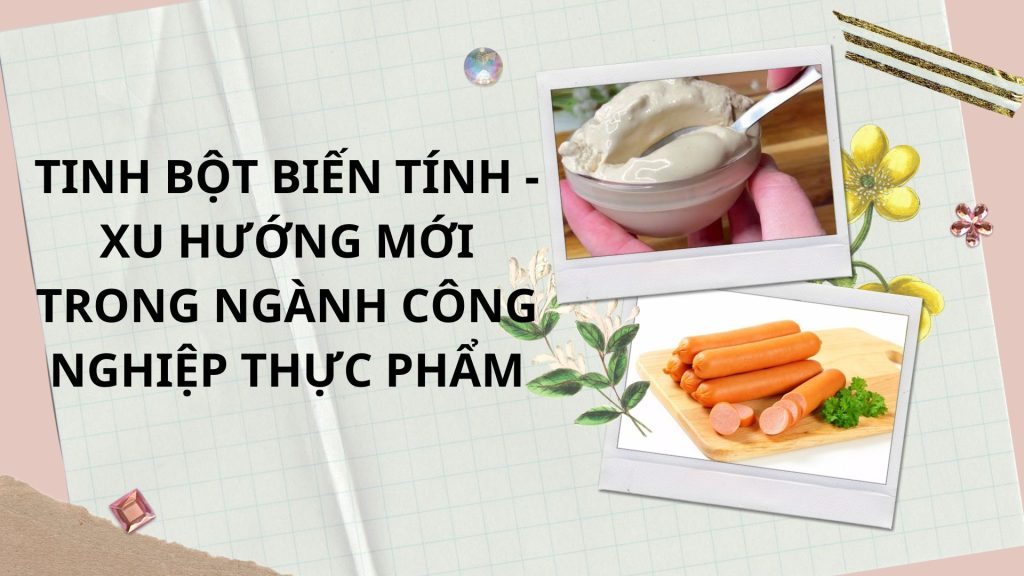 Xu Hướng Dùng Tinh Bột Biến TÍnh