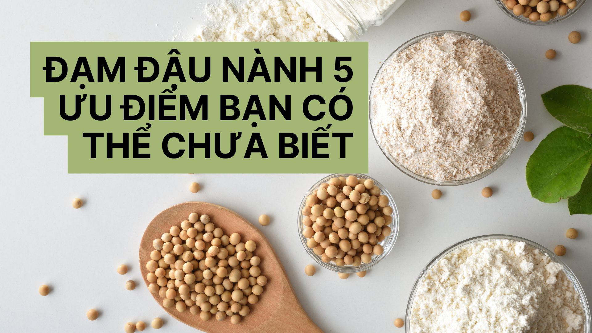 Ưu điểm Đạm Đậu Nành