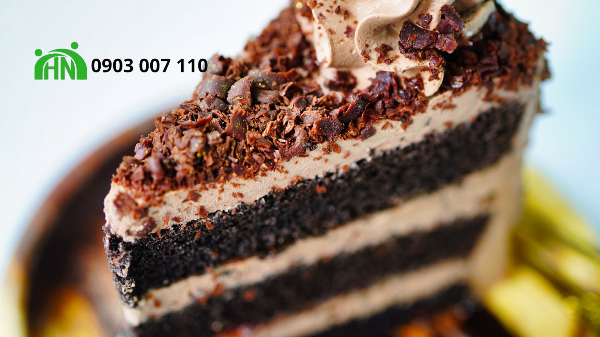 Cacao HNCC - 85
