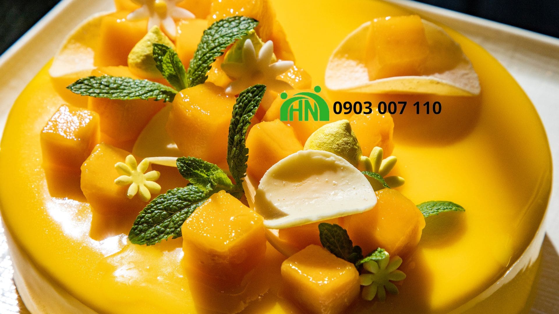 Gelatin 250 Foodmate