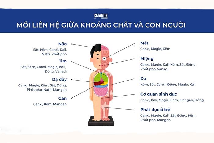 khoáng chất là gì