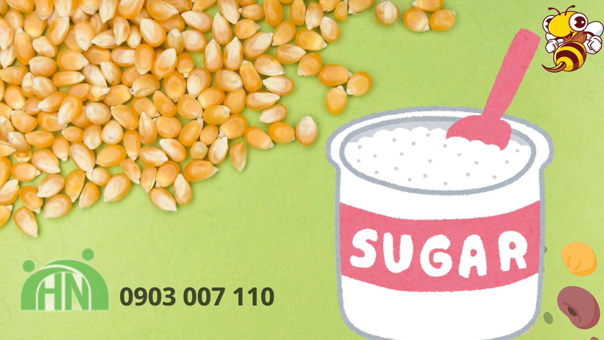 Phân biệt chất xơ và cellulose