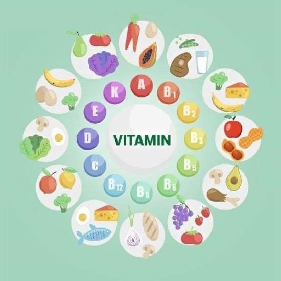 vitamin là gì